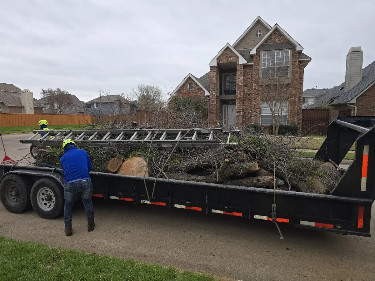 Expert Tree Fertilization with proper safety equipment in Gladbrook